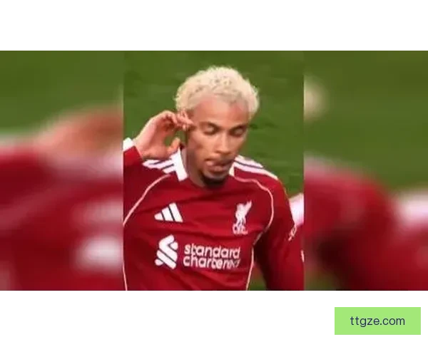 埃基蒂克实力胜托雷斯差别在于是否拥有杰拉德式核心队友支撑体系